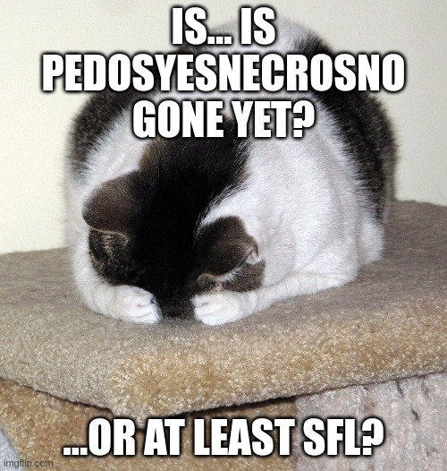 Please tell me it's at least SFL or SFW now. | IS... IS PEDOSYESNECROSNO GONE YET? ...OR AT LEAST SFL? | image tagged in memes,funny,hiding cat,pedosyesnecrosno,hide,blue | made w/ Imgflip meme maker