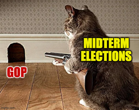 How Karma works. | MIDTERM ELECTIONS; GOP | image tagged in memes,justice,karma | made w/ Imgflip meme maker