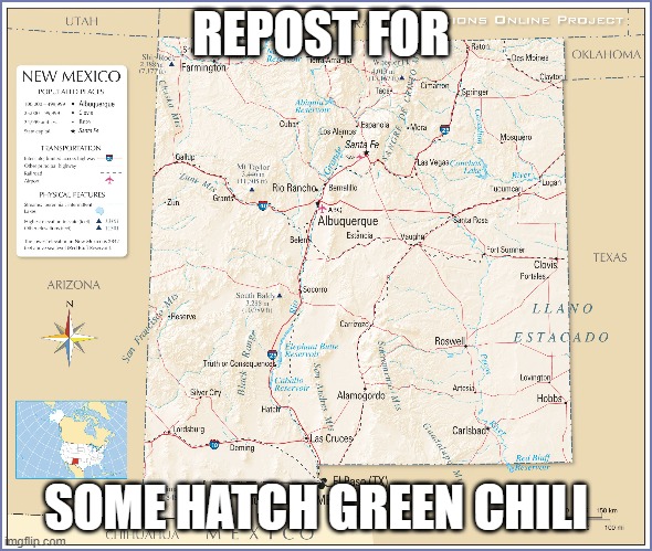 Shit slaps fr | REPOST FOR; SOME HATCH GREEN CHILI | made w/ Imgflip meme maker