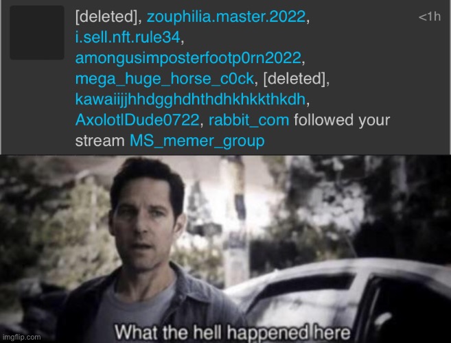 image tagged in what the hell happened here | made w/ Imgflip meme maker