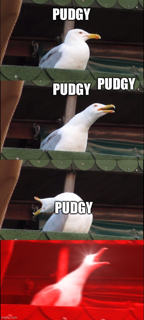 LFG | PUDGY; PUDGY; PUDGY; PUDGY | image tagged in memes,inhaling seagull | made w/ Imgflip meme maker