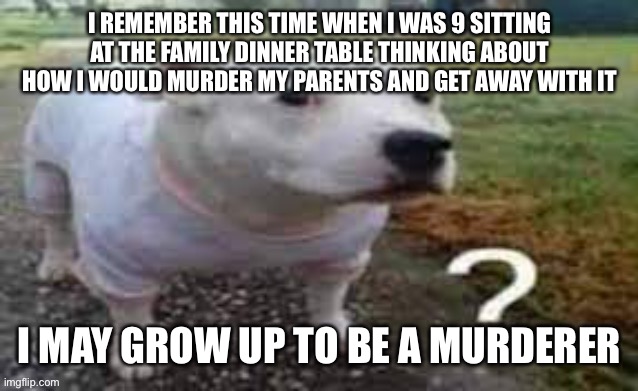 Dog question mark | I REMEMBER THIS TIME WHEN I WAS 9 SITTING AT THE FAMILY DINNER TABLE THINKING ABOUT HOW I WOULD MURDER MY PARENTS AND GET AWAY WITH IT; I MAY GROW UP TO BE A MURDERER | image tagged in dog question mark | made w/ Imgflip meme maker