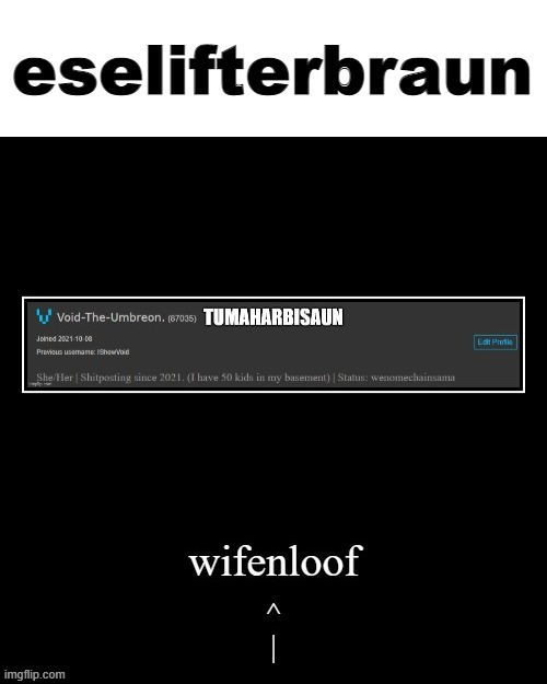 the last part of Image Text | eselifterbraun | image tagged in image tags | made w/ Imgflip meme maker