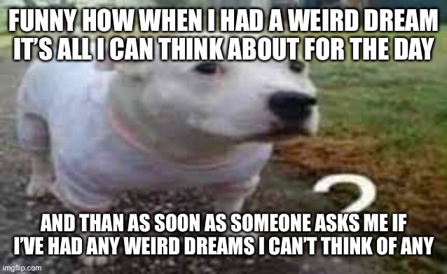 Dog question mark | FUNNY HOW WHEN I HAD A WEIRD DREAM IT’S ALL I CAN THINK ABOUT FOR THE DAY; AND THAN AS SOON AS SOMEONE ASKS ME IF I’VE HAD ANY WEIRD DREAMS I CAN’T THINK OF ANY | image tagged in dog question mark | made w/ Imgflip meme maker