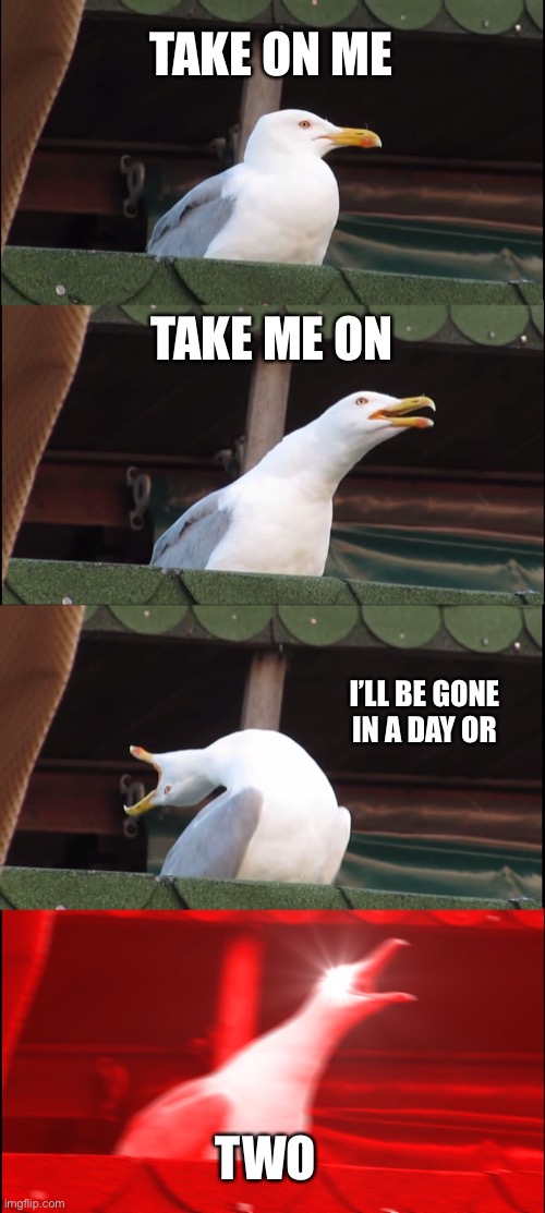 Inhaling Seagull Meme | TAKE ON ME; TAKE ME ON; I’LL BE GONE IN A DAY OR; TWO | image tagged in memes,inhaling seagull | made w/ Imgflip meme maker