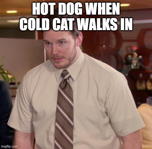 Afraid To Ask Andy | HOT DOG WHEN COLD CAT WALKS IN | image tagged in memes,afraid to ask andy | made w/ Imgflip meme maker