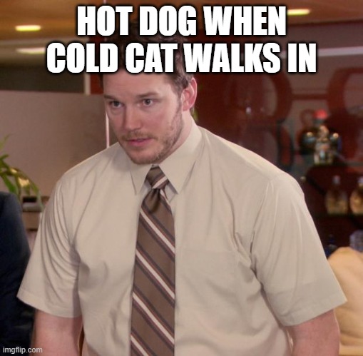 Afraid To Ask Andy Meme | HOT DOG WHEN COLD CAT WALKS IN | image tagged in memes,afraid to ask andy | made w/ Imgflip meme maker