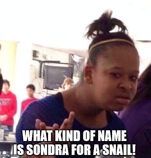 Black Girl Wat Meme | WHAT KIND OF NAME IS SONDRA FOR A SNAIL! | image tagged in memes,black girl wat | made w/ Imgflip meme maker