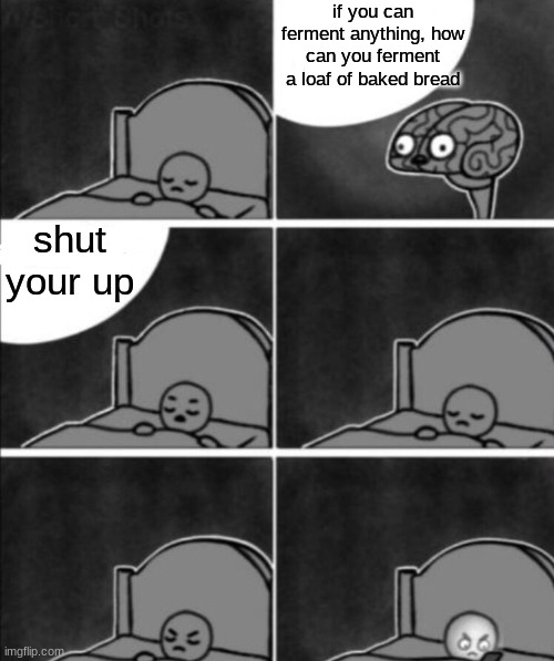Annoying Brain | if you can ferment anything, how can you ferment a loaf of baked bread; shut your up | image tagged in annoying brain | made w/ Imgflip meme maker