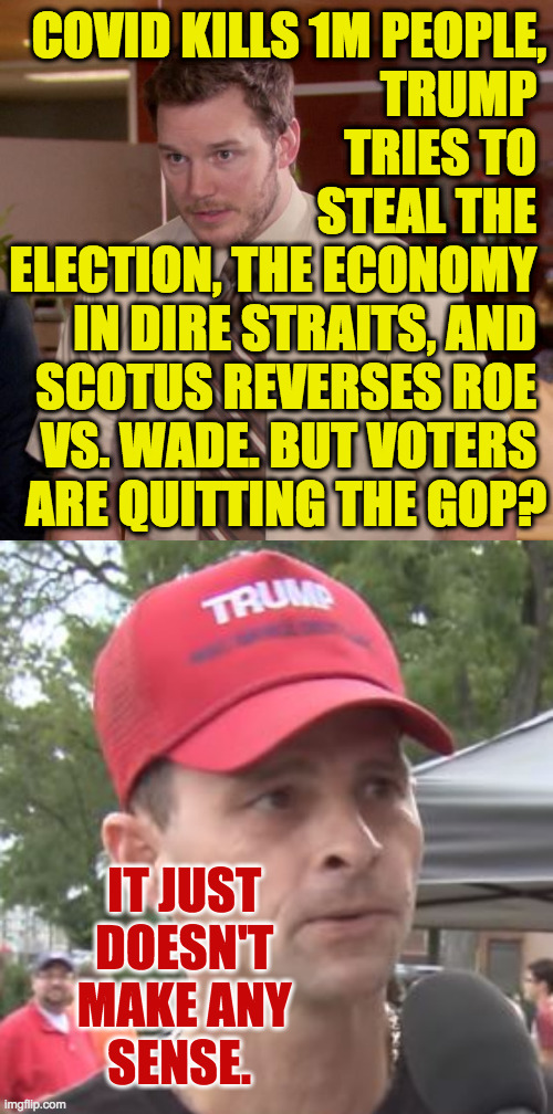 'Tis a puzzlement. | COVID KILLS 1M PEOPLE,
TRUMP 
TRIES TO 
STEAL THE 
ELECTION, THE ECONOMY 
IN DIRE STRAITS, AND 
SCOTUS REVERSES ROE 
VS. WADE. BUT VOTERS 
ARE QUITTING THE GOP? IT JUST
DOESN'T
MAKE ANY
SENSE. | image tagged in memes,afraid to ask andy,trump supporter | made w/ Imgflip meme maker