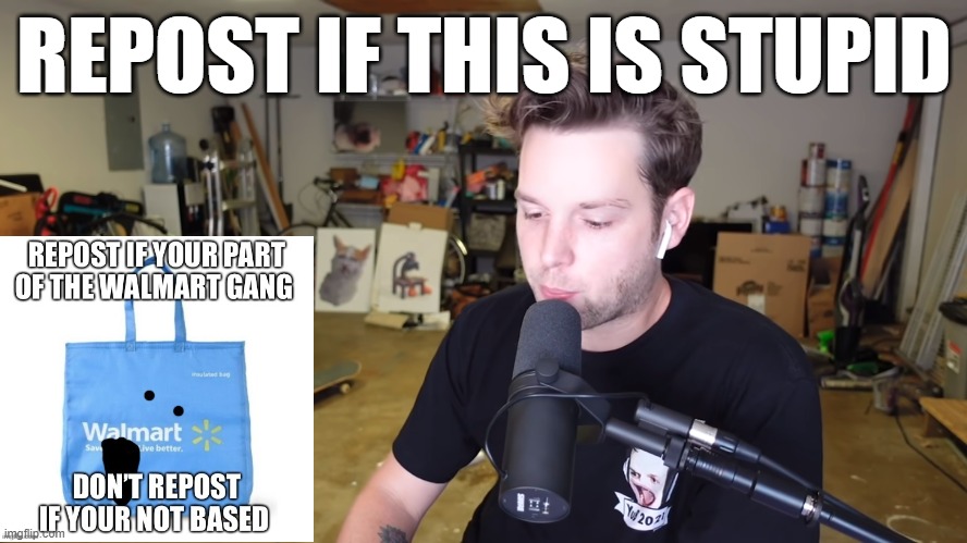 repost if this is stupid | image tagged in repost if this is stupid | made w/ Imgflip meme maker