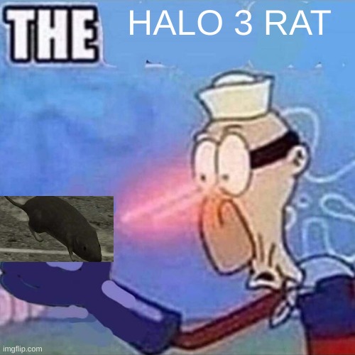 the halo 3 rat has been found | HALO 3 RAT | image tagged in barnacle boy the | made w/ Imgflip meme maker