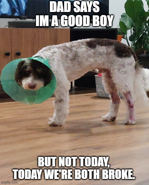 DAD SAYS IM A GOOD BOY; BUT NOT TODAY, TODAY WE'RE BOTH BROKE. | made w/ Imgflip meme maker