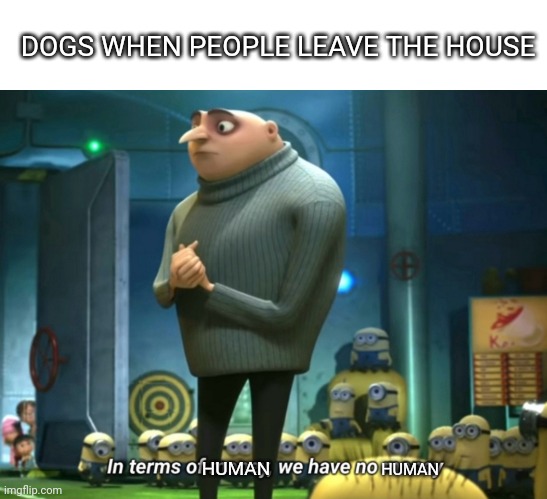 Hoomin gimme foodz | DOGS WHEN PEOPLE LEAVE THE HOUSE; HUMAN; HUMAN | image tagged in blank white template,in terms of money we have no money | made w/ Imgflip meme maker