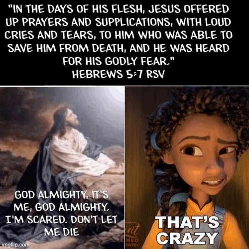No Jesus is not God Blank Meme Template