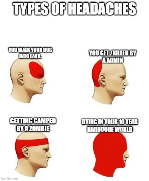 types of headache | TYPES OF HEADACHES; YOU WALK YOUR DOG
INTO LAVA. YOU GET /KILLED BY
A ADMIN; DYING IN YOUR 10 YEAR
HARDCORE WORLD; GETTING CAMPED
BY A ZOMBIE | image tagged in types of headache | made w/ Imgflip meme maker