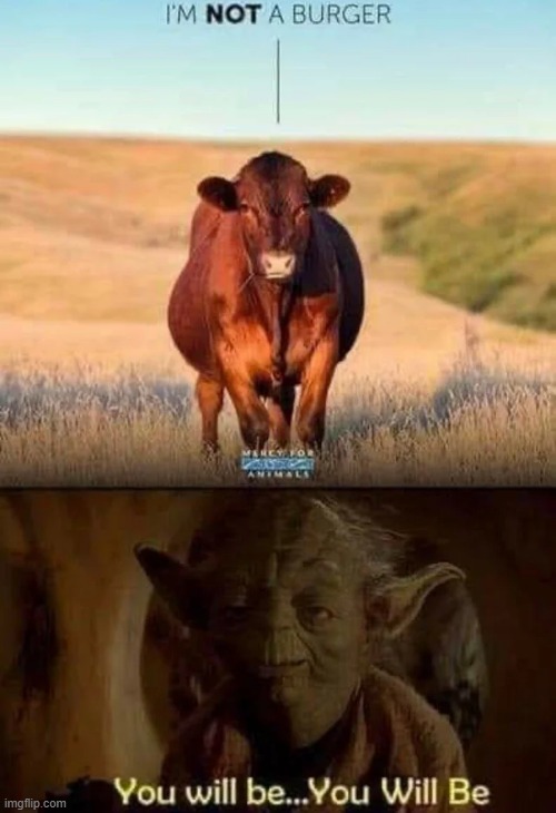 Yoda Certain? | image tagged in yoda | made w/ Imgflip meme maker