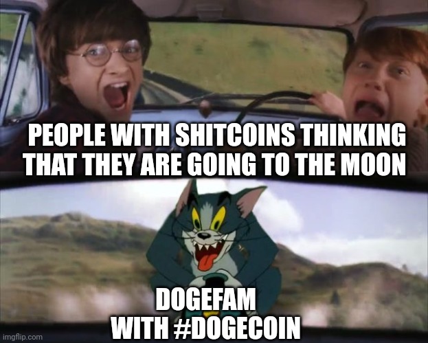 Tom chasing Harry and Ron Weasly | PEOPLE WITH SHITCOINS THINKING THAT THEY ARE GOING TO THE MOON; DOGEFAM WITH #DOGECOIN | image tagged in tom chasing harry and ron weasly | made w/ Imgflip meme maker