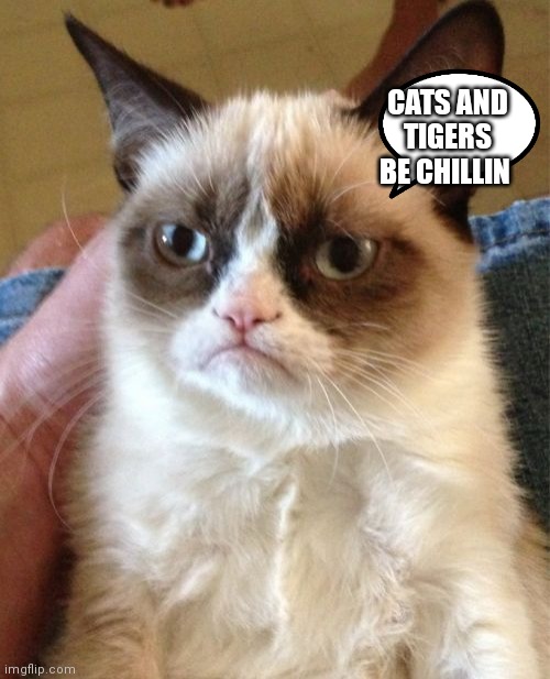 Grumpy the cat be chilling | CATS AND TIGERS BE CHILLIN | image tagged in memes,grumpy cat,funny memes | made w/ Imgflip meme maker
