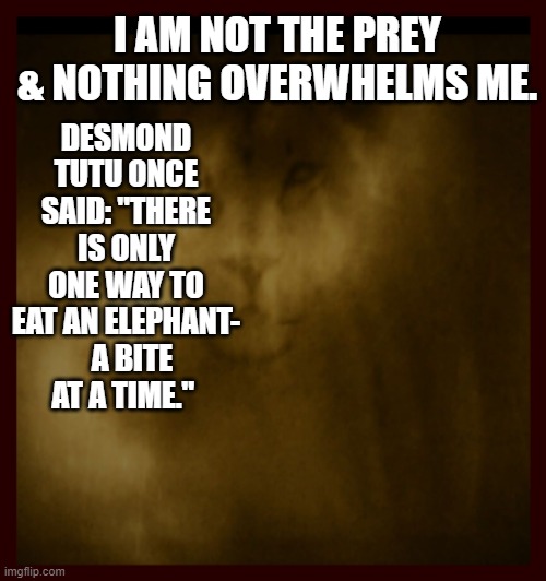 MASTERING THE BEAST | I AM NOT THE PREY & NOTHING OVERWHELMS ME. DESMOND TUTU ONCE SAID: "THERE IS ONLY ONE WAY TO EAT AN ELEPHANT-   A BITE AT A TIME." | image tagged in control,purpose,winning,fierce,beast mode | made w/ Imgflip meme maker