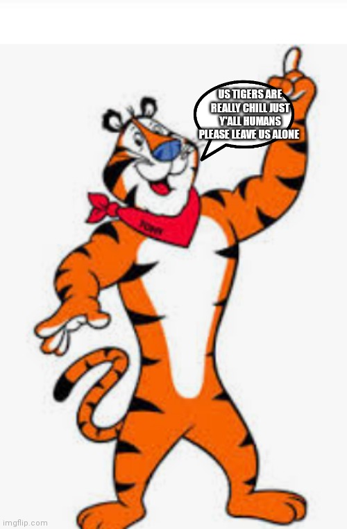 Leave tigers alone they won't mess with you if you don't mess with them | US TIGERS ARE REALLY CHILL JUST Y'ALL HUMANS PLEASE LEAVE US ALONE | image tagged in funny memes | made w/ Imgflip meme maker