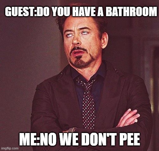 Seriously though | GUEST:DO YOU HAVE A BATHROOM; ME:NO WE DON'T PEE | image tagged in robert downey jr annoyed,unwanted house guest,bathroom | made w/ Imgflip meme maker