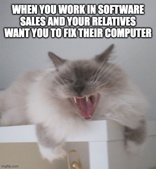 sales support | WHEN YOU WORK IN SOFTWARE SALES AND YOUR RELATIVES WANT YOU TO FIX THEIR COMPUTER | image tagged in evil laughing cat | made w/ Imgflip meme maker