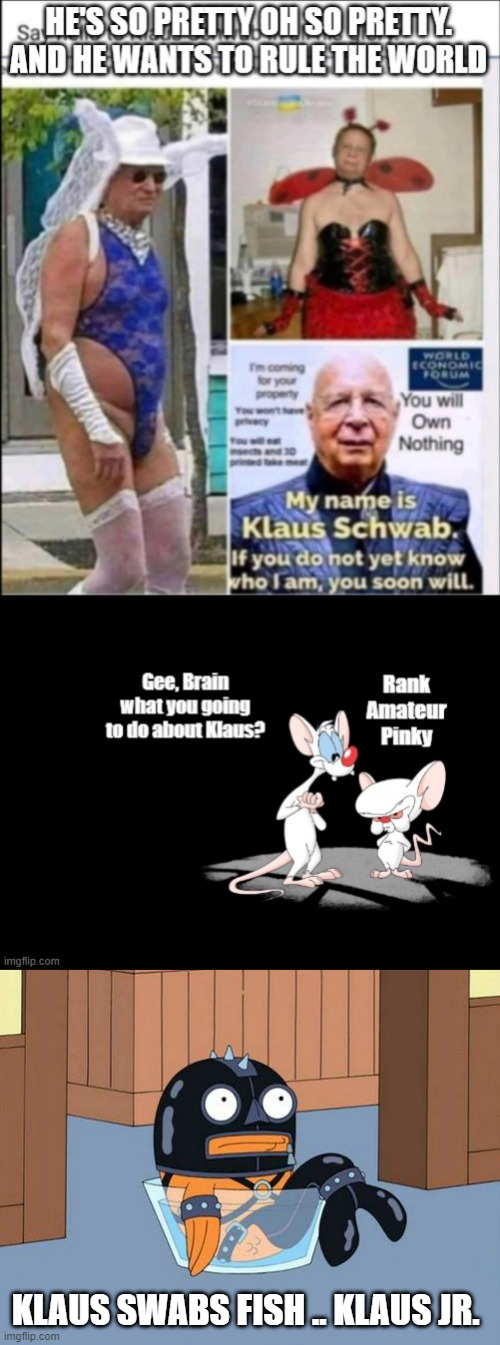 KLAUS Swabs FISH also know as KLAUS | KLAUS SWABS FISH .. KLAUS JR. | image tagged in democrat | made w/ Imgflip meme maker