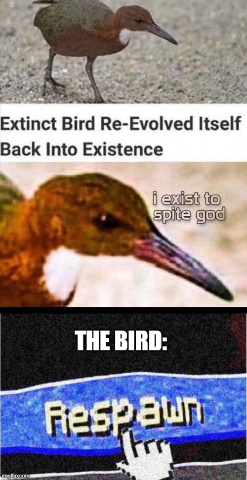 Minecraft be like | THE BIRD: | image tagged in extinct bird,respawn | made w/ Imgflip meme maker