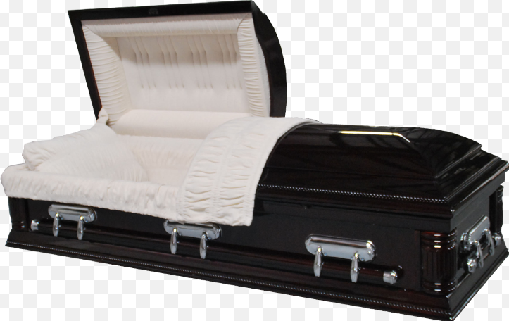 High Quality coffin Blank Meme Template