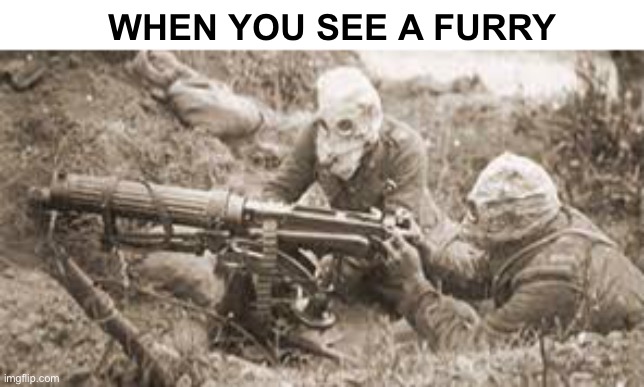 WHEN YOU SEE A FURRY | image tagged in anti furry | made w/ Imgflip meme maker