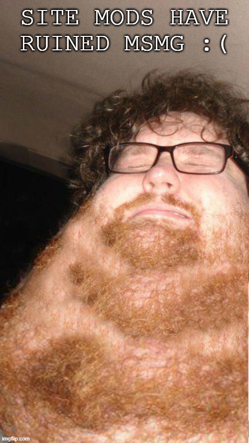 obese neckbearded dude | SITE MODS HAVE RUINED MSMG :( | image tagged in obese neckbearded dude | made w/ Imgflip meme maker