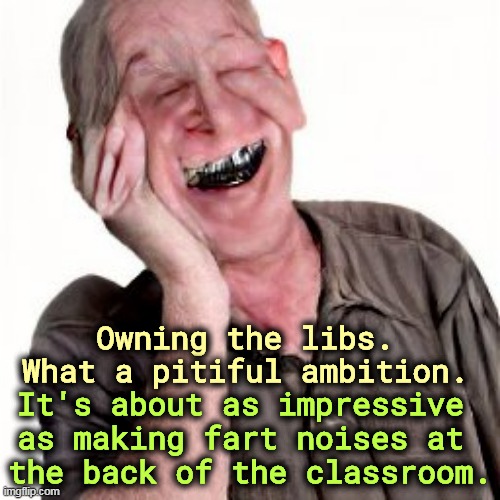 Childish. | Owning the libs. What a pitiful ambition. It's about as impressive 
as making fart noises at 
the back of the classroom. | image tagged in liberals,right wing,silly,childish,immature | made w/ Imgflip meme maker