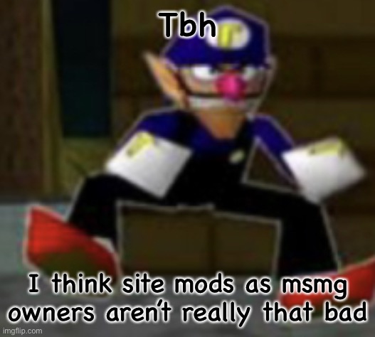 wah male | Tbh; I think site mods as msmg owners aren’t really that bad | image tagged in wah male | made w/ Imgflip meme maker