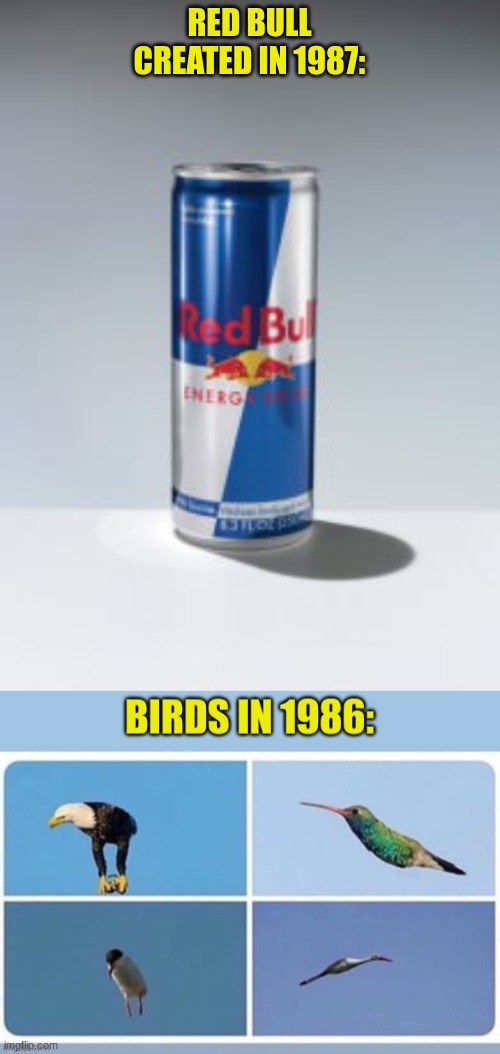 Red bull gives you Wings!! |  RED BULL CREATED IN 1987: | image tagged in red bull,fun,memes,stream,thatdumbshityeetman,tdym | made w/ Imgflip meme maker