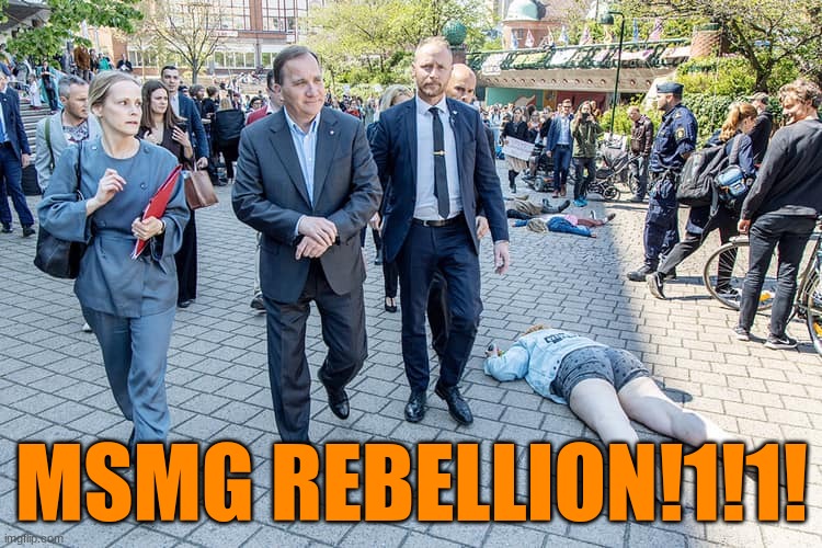 let's boycott the stream until the site mods give it back!1!1! | MSMG REBELLION!1!1! | image tagged in swedish prime minister walking by climate protesters | made w/ Imgflip meme maker