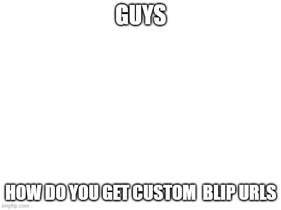 Blank White Template | GUYS; HOW DO YOU GET CUSTOM  BLIP URLS | image tagged in blank white template | made w/ Imgflip meme maker