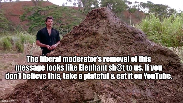 Big pile of bullshit | The liberal moderator’s removal of this message looks like Elephant sh@t to us. If you don’t believe this, take a plateful & eat it on YouTu | image tagged in big pile of bullshit | made w/ Imgflip meme maker