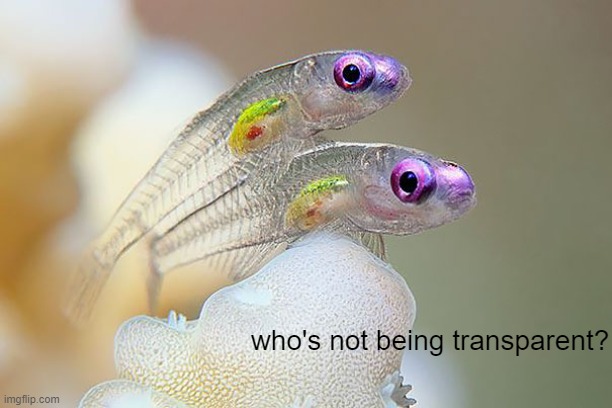 who's not being transparent? | made w/ Imgflip meme maker