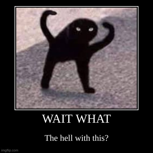 image tagged in funny,demotivationals,cursed image,cat,cursed cat,halloween | made w/ Imgflip demotivational maker