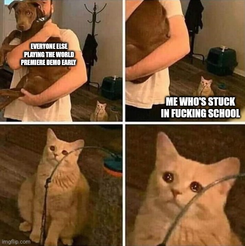Pls no spoils tho | EVERYONE ELSE PLAYING THE WORLD PREMIERE DEMO EARLY; ME WHO'S STUCK IN FUCKING SCHOOL | image tagged in ignored cat | made w/ Imgflip meme maker