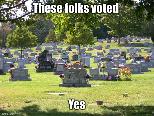 cemetery | These folks voted Yes | image tagged in cemetery | made w/ Imgflip meme maker