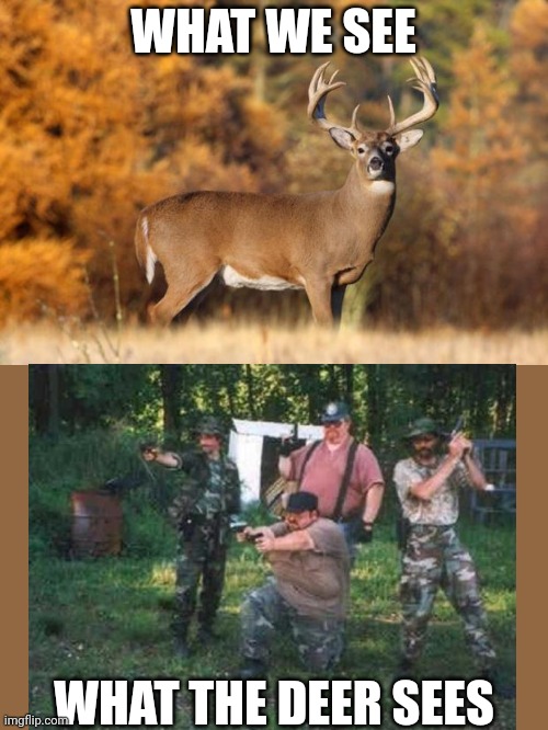 If only it was on a road... | WHAT WE SEE; WHAT THE DEER SEES | image tagged in whitetail deer,redneck,country | made w/ Imgflip meme maker
