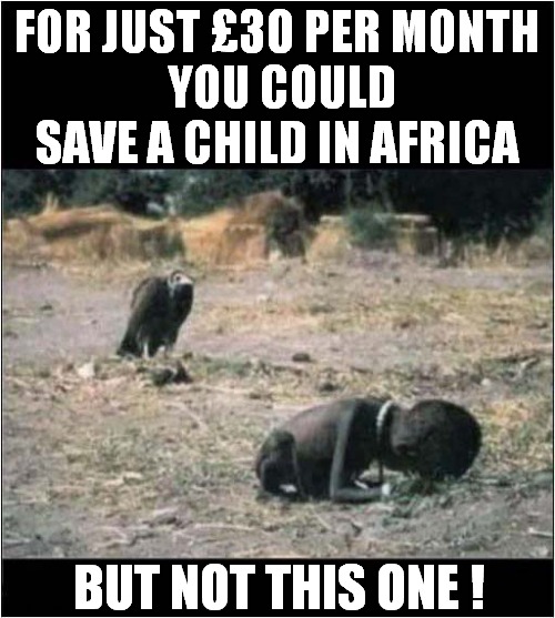 Remember The Vultures ! | FOR JUST £30 PER MONTH
 YOU COULD SAVE A CHILD IN AFRICA; BUT NOT THIS ONE ! | image tagged in charity,africa,dead,child,vulture,dark humour | made w/ Imgflip meme maker
