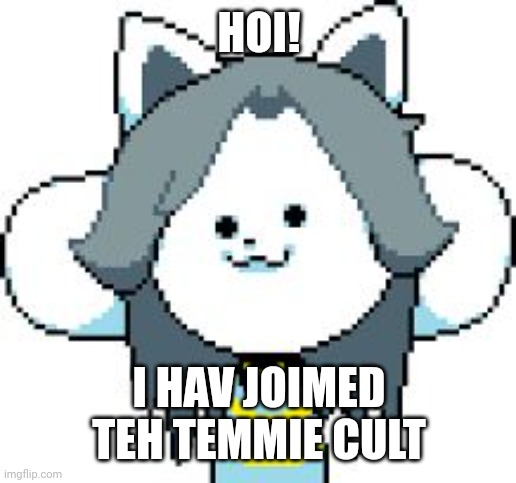 Hello tem cult | HOI! I HAV JOIMED TEH TEMMIE CULT | image tagged in temmie | made w/ Imgflip meme maker