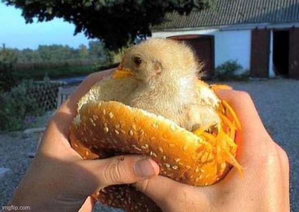 Undercooked | image tagged in chicken sandwich | made w/ Imgflip meme maker
