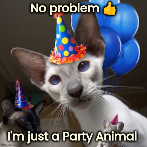 Party Animals | No problem ? I'm just a Party Animal | image tagged in party animals | made w/ Imgflip meme maker