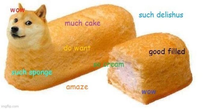 Bread doge dumb | image tagged in bread doge dumb | made w/ Imgflip meme maker