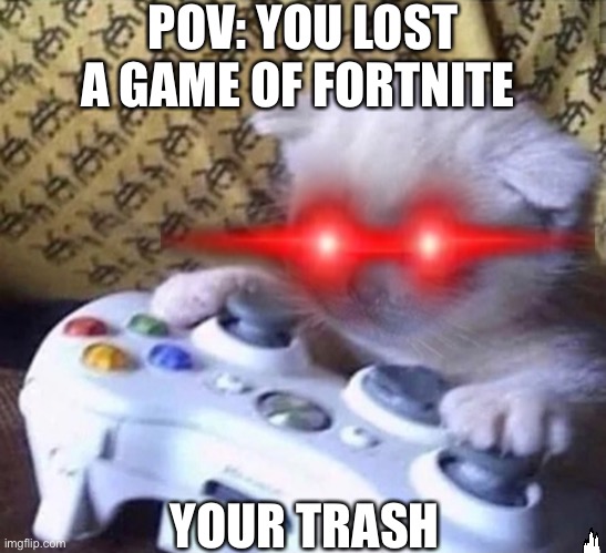Mad cat | POV: YOU LOST A GAME OF FORTNITE; YOUR TRASH | image tagged in gaming | made w/ Imgflip meme maker