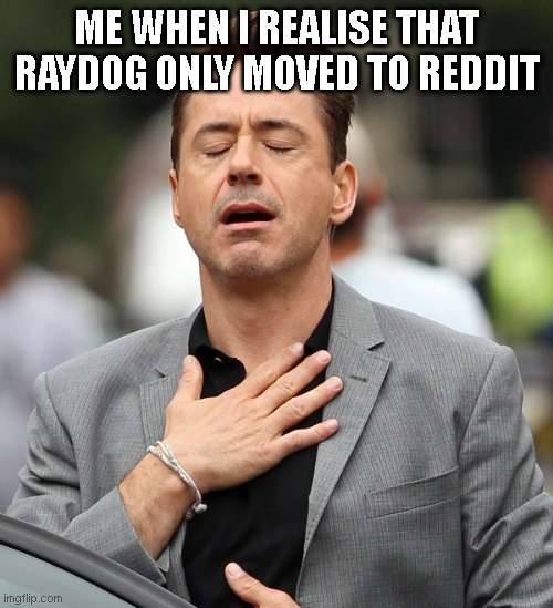 relieved rdj | ME WHEN I REALISE THAT RAYDOG ONLY MOVED TO REDDIT | image tagged in relieved rdj | made w/ Imgflip meme maker